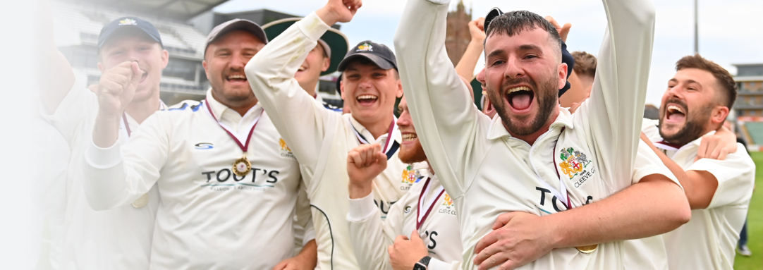 Cricket team discount shirts